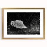 Framed wall art featuring a marine life ray design with a gold mat, showcasing vibrant colors and intricate details, perfect for ocean-themed decor.