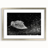 Framed wall art collection featuring a marine life ray design, with a sleek silver frame and matting, perfect for ocean-themed decor in modern interiors.