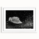 Framed marine life wall art collection featuring a vibrant ray design with a white mat, perfect for coastal decor, enhancing any room's aesthetic appeal.