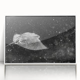 Framed acrylic wall art depicting a vibrant marine life ray design, featuring shades of blue and white, ideal for coastal-themed home decor.