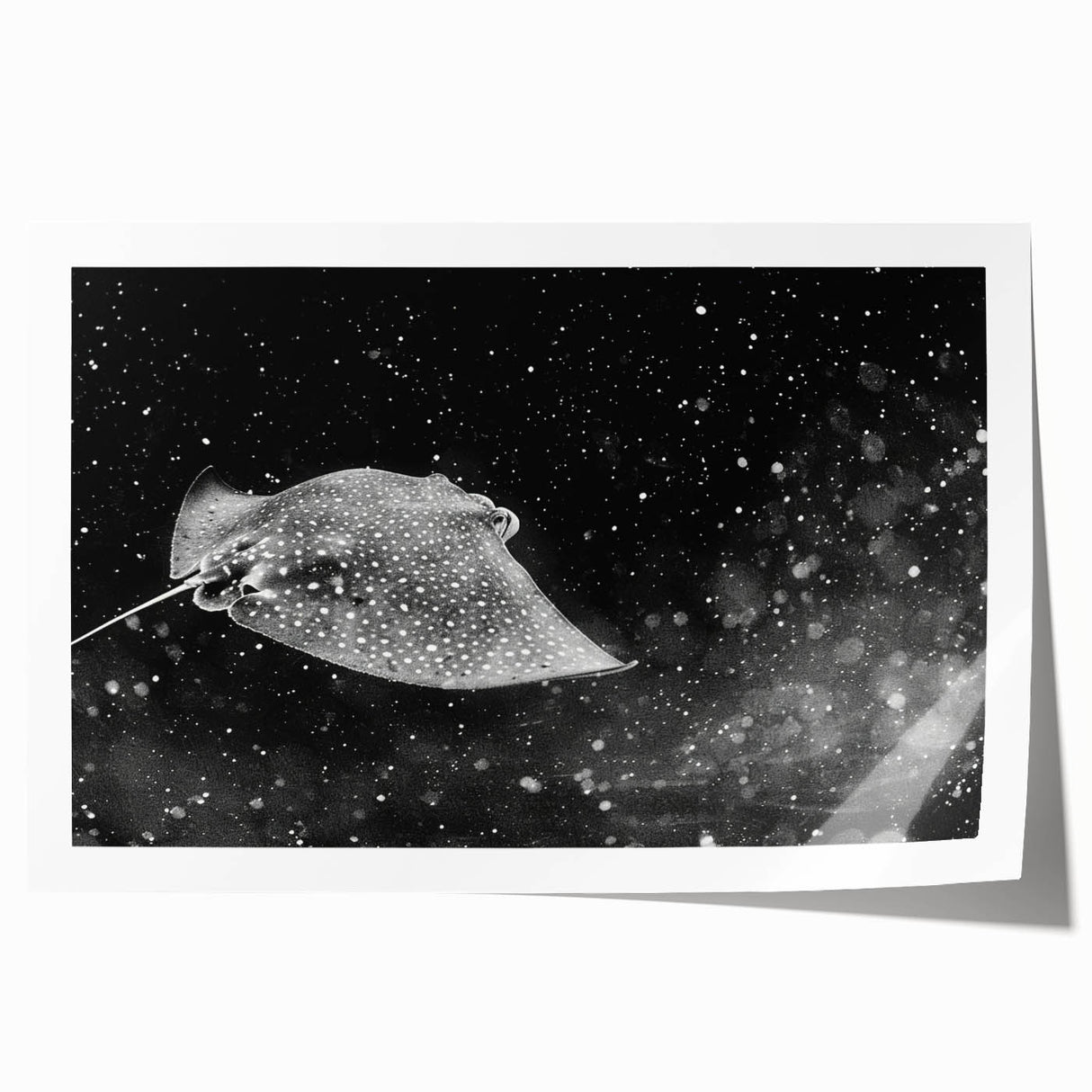 Colorful marine life wall art print showcasing a vibrant ray design, perfect for ocean-themed decor. Ideal for enhancing home or office spaces with aquatic aesthetics.