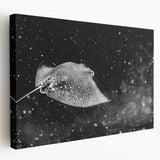Stretched canvas wall art showcasing a vibrant marine life ray design, featuring intricate details and rich colors, ideal for ocean-themed decor.