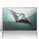 Framed acrylic wall art featuring a marine life ray design, showcasing vibrant colors and intricate details, perfect for ocean-themed decor in modern interiors.