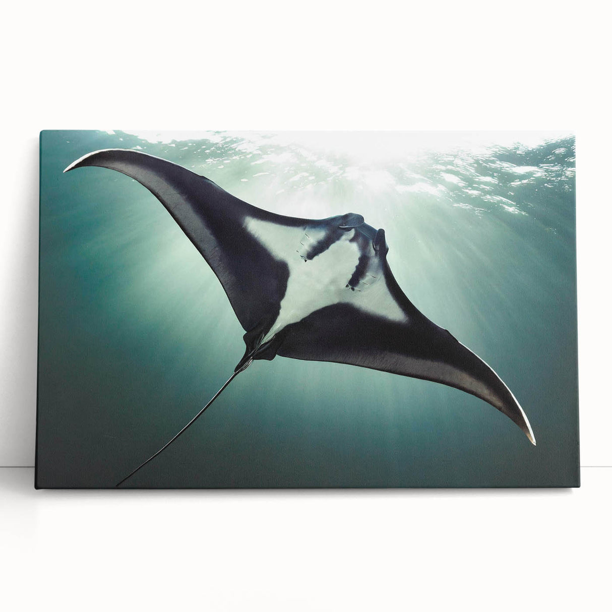 Stretched canvas wall art showcasing a vibrant marine life ray design, featuring rich blue and green tones, ideal for ocean-themed decor.
