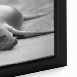 Close-up of framed wall art featuring a vibrant sea lion design with intricate details, set against a blue ocean backdrop, perfect for marine life enthusiasts.