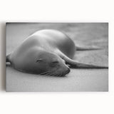 Stretched canvas wall art showcasing a vibrant sea lion design in a lively underwater scene, perfect for marine life enthusiasts and home decor.