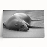 Canvas wall art featuring a vibrant sea lion design, showcasing intricate details and colors, perfect for marine life enthusiasts and home decor.