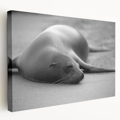 Stretched canvas artwork showcasing a vibrant design of a playful sea lion in its natural marine habitat, emphasizing rich colors and detailed textures. Perfect for ocean-themed decor.