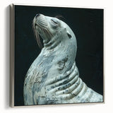 Framed wall art featuring a silver side view of a playful sea lion, showcasing vibrant marine life colors and intricate design details ideal for ocean-themed decor.