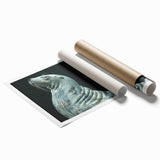 Vibrant rolled print of a sea lion depicted in a marine life design, showcasing detailed textures and colors, perfect for ocean-themed wall decor.
