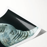 Vibrant wall art print showcasing a playful sea lion swimming among colorful marine life, ideal for ocean-themed decor, captured in intricate detail.
