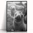 Framed acrylic wall art featuring a vibrant sea lion design, set against a black background, showcasing marine life in a contemporary style. Perfect for ocean enthusiasts.