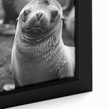 Close-up of a vibrant framed canvas wall art featuring a playful sea lion design, showcasing rich colors and intricate details, perfect for marine life enthusiasts.