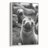 Framed canvas wall art showcasing a vibrant sea lion design against a white background, perfect for marine life enthusiasts and coastal decor lovers.