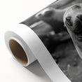 Vibrant rolled canvas showcasing a marine life design featuring a playful sea lion, ideal for ocean-themed decor, presented in a protective cardboard tube.