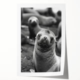 Vibrant wall art print showcasing a playful sea lion swimming among colorful marine life, perfect for ocean-themed home decor. Ideal for nature lovers and coastal aesthetics.