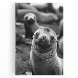 Vibrant sea lion wall art design on stretched canvas, showcasing detailed marine life imagery with rich colors, ideal for ocean-themed decor in living spaces.