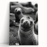 Vibrant stretched canvas wall art featuring a playful sea lion design, showcasing rich colors and intricate details, perfect for marine life enthusiasts and home decor.