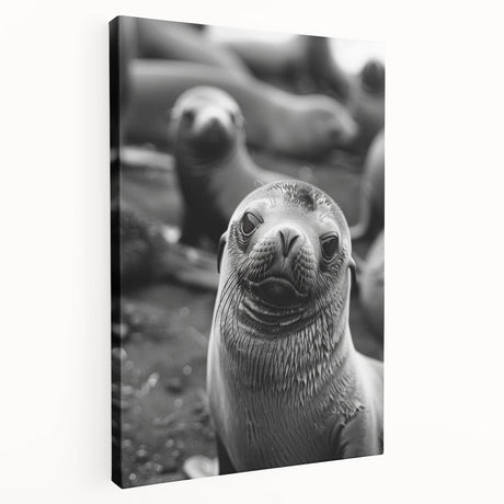 Stretched canvas wall art showcasing a vibrant sea lion design, featuring intricate details and rich colors, perfect for marine life enthusiasts' decor.