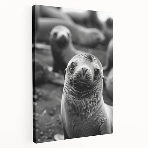 Stretched canvas wall art showcasing a vibrant sea lion design, featuring intricate details and rich colors, perfect for marine life enthusiasts' decor.