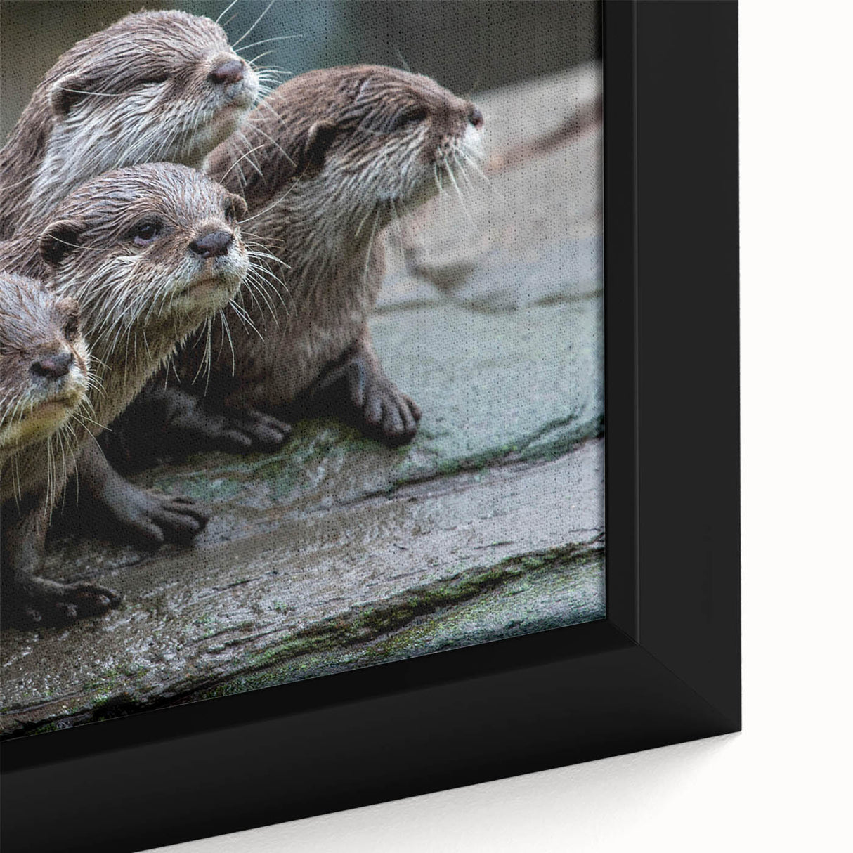 Close-up of a framed canvas wall art featuring a playful sea otter design, showcasing vibrant colors and intricate details, perfect for marine life enthusiasts.