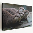 Sea otter wall art on stretched canvas, showcasing vibrant marine life colors and intricate details, perfect for ocean-themed decor. Ideal for nature lovers.