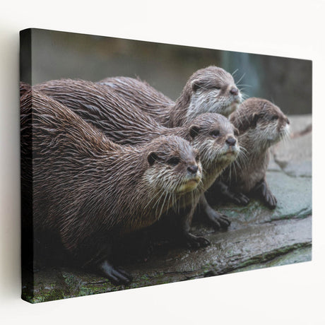 Sea otter wall art on stretched canvas, showcasing vibrant marine life colors and intricate details, perfect for ocean-themed decor. Ideal for nature lovers.