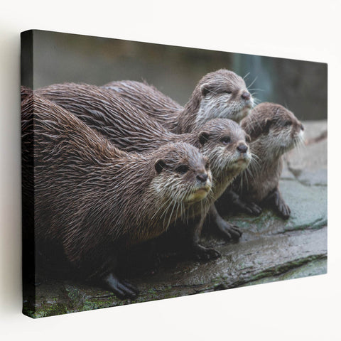 Sea otter wall art on stretched canvas, showcasing vibrant marine life colors and intricate details, perfect for ocean-themed decor. Ideal for nature lovers.