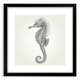 Framed wall art featuring a detailed black and white design of a seahorse, set against a white background, perfect for marine life enthusiasts and home decor.