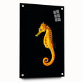 Close-up of a marine life-themed wall art collection showcasing a vibrant seahorse design, displayed in a sleek acrylic glass frame, highlighting intricate details with decorative pins. Perfect for ocean lovers and home decor enthusiasts.