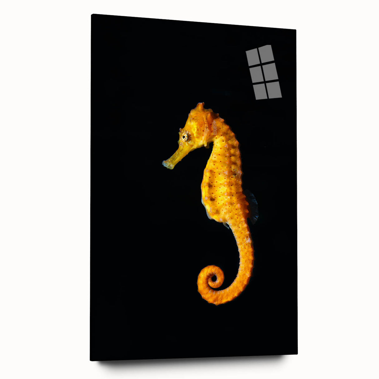 Side view of a vibrant marine life wall art featuring a seahorse design, crafted from acrylic glass, showcasing intricate details and colors, ideal for ocean-themed decor.