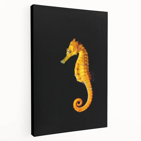 Seahorse wall art design displayed on a stretched canvas, featuring vibrant marine colors and intricate details, perfect for enhancing ocean-themed decor.