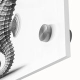 Close-up of a stunning marine life wall art collection featuring an intricately designed seahorse on acrylic glass, showcasing vibrant colors and fine details. Perfect for ocean-themed decor.