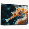 Marine life wall art collection featuring a vibrant, detailed acrylic glass design of a seahorse, displayed in a side view with decorative pins, ideal for ocean-themed decor.
