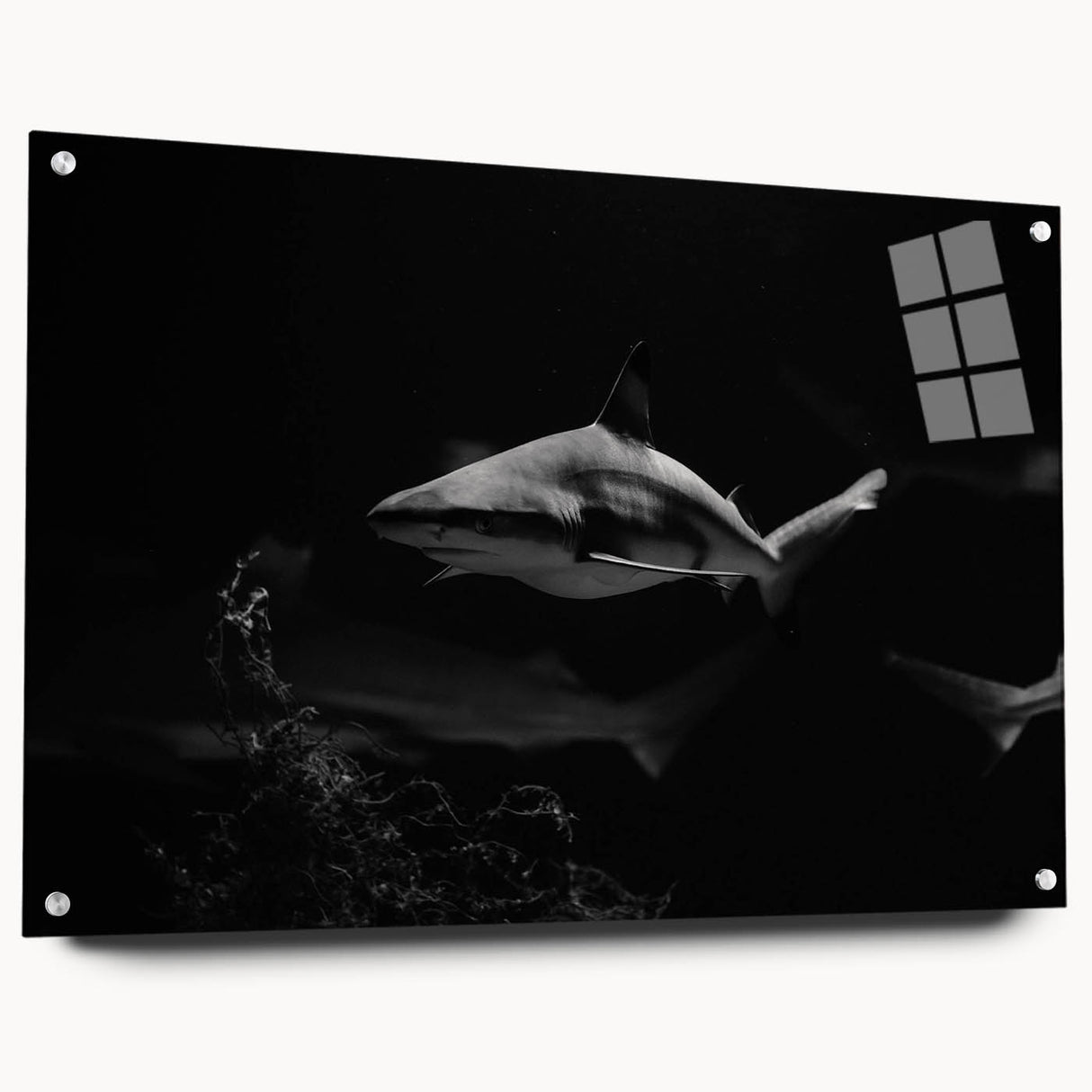 Side view of a marine life-themed wall art piece showcasing a shark design, printed on acrylic glass, with visible mounting pins. Ideal for ocean lovers' decor.