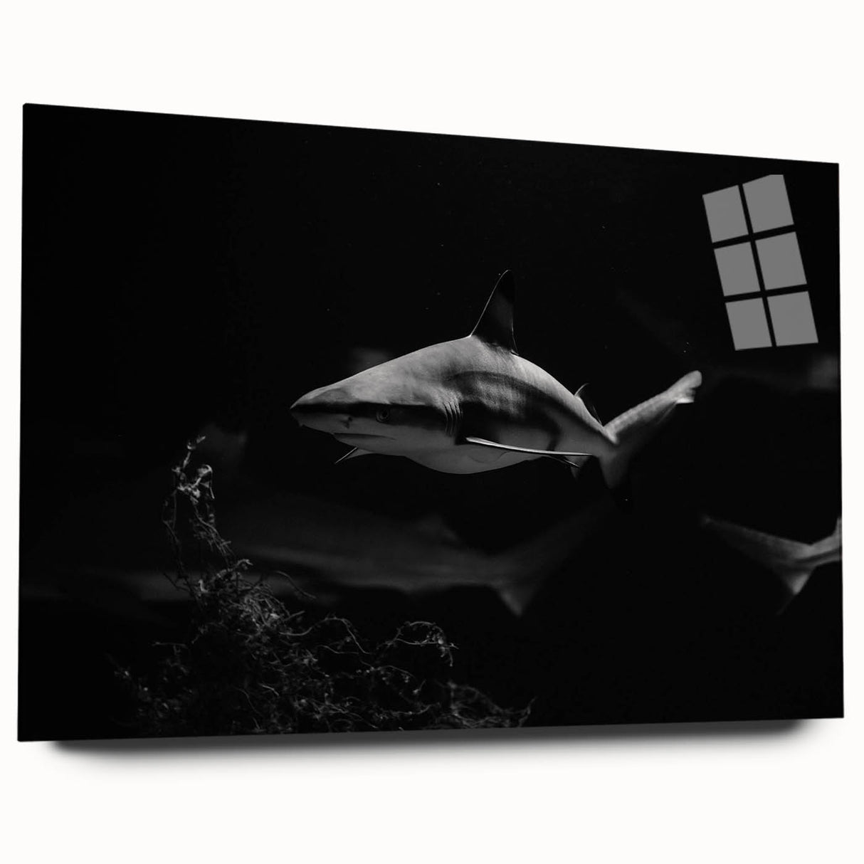 Acrylic wall art showcasing a striking shark design, highlighting intricate details and vibrant colors, perfect for marine life enthusiasts and modern decor.