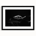 Framed marine life wall art showcasing a detailed shark design with a black mat, perfect for ocean-themed decor, enhancing living spaces with vibrant colors.