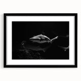 Framed marine life wall art showcasing a detailed shark design with a black mat, perfect for ocean-themed decor, enhancing living spaces with vibrant colors.