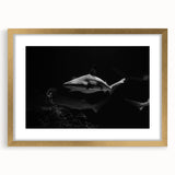 Framed wall art featuring a striking shark design in vibrant colors, elegantly matted with a gold frame, perfect for marine life enthusiasts.