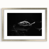 Framed wall art featuring a vibrant marine life design showcasing a shark, elegantly presented with a silver frame and mat, perfect for ocean-themed decor.