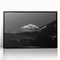 Framed acrylic wall art featuring a sleek black front view of a marine life shark design, ideal for ocean-themed decor, showcasing vibrant colors and intricate details.