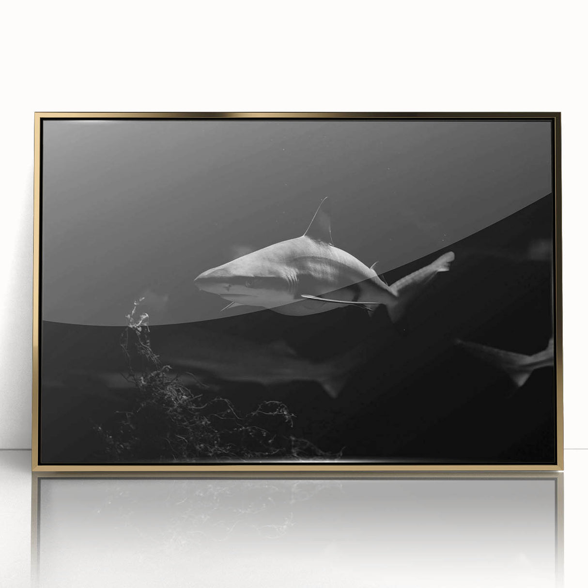 Framed wall art featuring a sleek shark design, showcasing vibrant marine life colors with a stylish gold frame, perfect for ocean-themed decor.