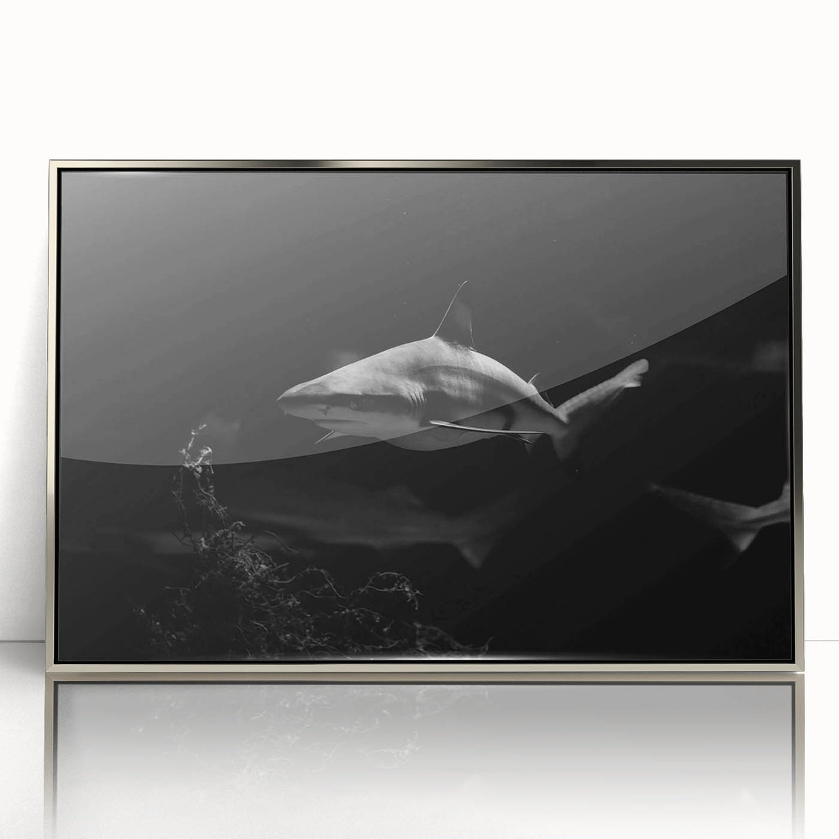 Framed wall art featuring a sleek shark design in vibrant colors, set in a stylish silver frame, perfect for marine life enthusiasts and modern decor.