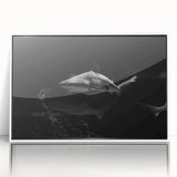 Framed marine life wall art showcasing a striking shark design in acrylic, featuring a white frame and vibrant colors, perfect for ocean-themed decor.