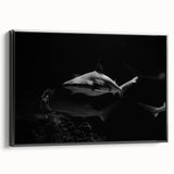 Framed canvas wall art featuring a striking shark design in a marine life theme, presented in a sleek black frame, ideal for ocean-inspired decor.