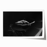 Vibrant rolled wall art print showcasing a detailed shark design inspired by marine life, featuring bold colors and intricate patterns, ideal for ocean-themed decor.