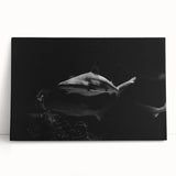 Shark-themed stretched canvas wall art featuring vibrant blue and turquoise colors, ideal for marine life enthusiasts. Perfect for home or office decor.