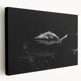 Stretched canvas wall art showcasing a vibrant shark design in a marine life theme, featuring intricate details and bold colors, perfect for ocean lovers’ decor.