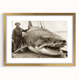 Gold-framed wall art featuring a striking shark design, showcasing vibrant marine life colors and intricate details, ideal for ocean-themed decor or gifts.