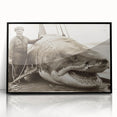 Framed wall art showcasing a striking shark design, featuring vibrant marine life colors on a sleek black background, perfect for ocean-themed decor.